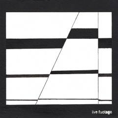 The Life of a Complacent Bird