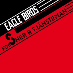 Forsner & Tjänsteman - Eagle birds (THE BLACK KEYS-COVER)