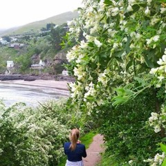 Ocean Eyes Snippet #BethHamilton