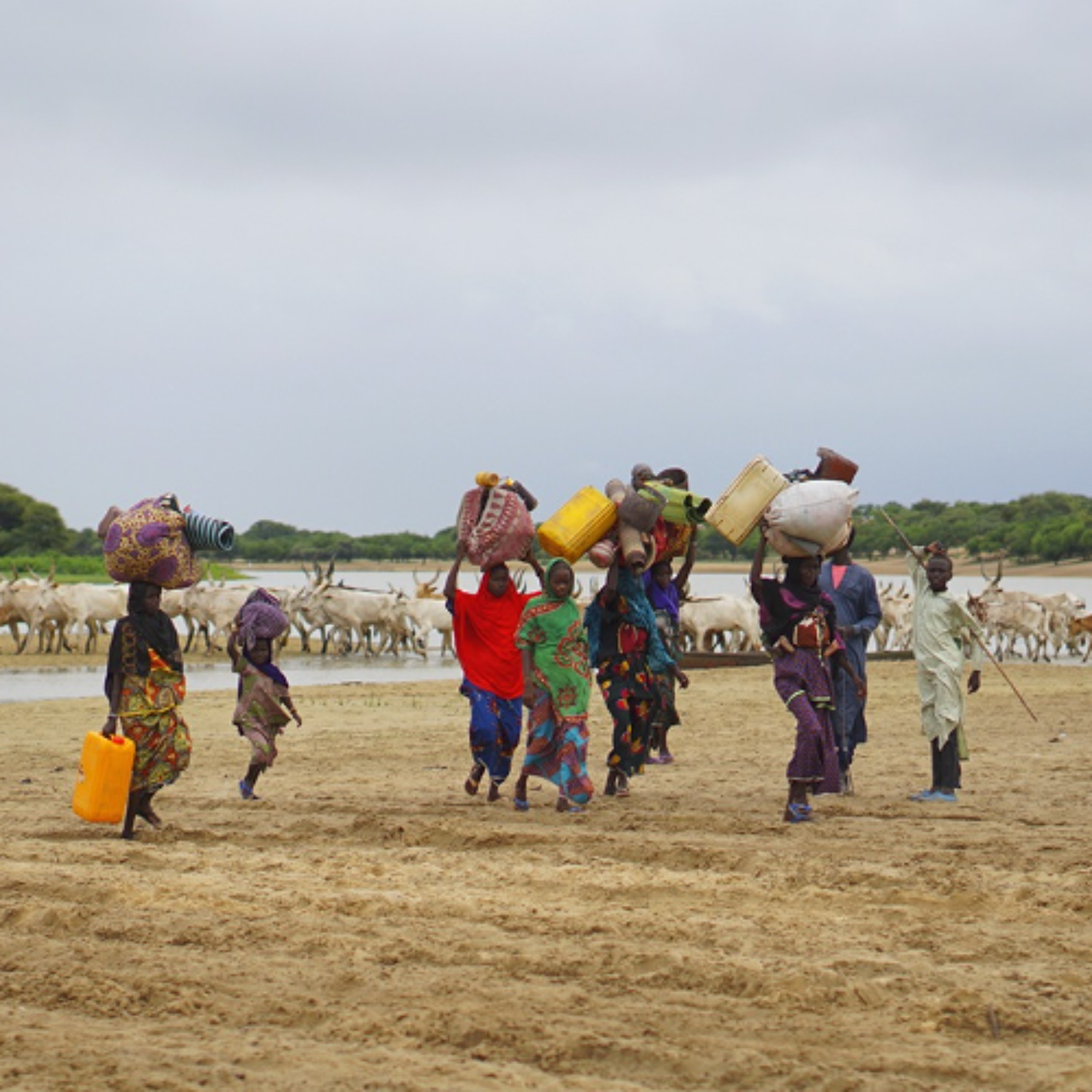 When the perpetrator is the climate