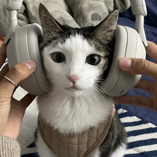 Jaydes, Riovaz - Patience sped up