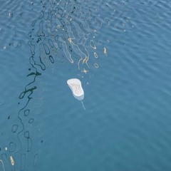 _swerve004inmycup.wav