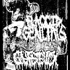 Die Puto - Flaccid Genitals