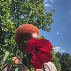 Lazarus Pt. 1 (God's Pea Shooter).