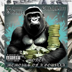 Money (feat. ElijahSkrr)