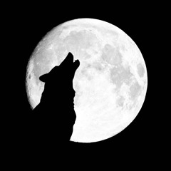 cushdy mush pt 78.mp3