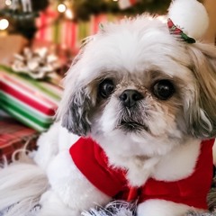 Breathe (Cover) - In The Heights | Lin-Manuel Miranda