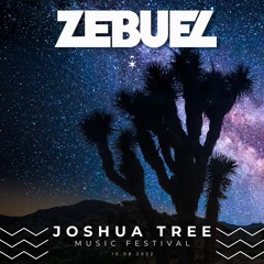 Live at Joshua Tree Music Festival