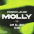 Cedric Gervais & Joel Corry - Molly (Don Salcedo Remix)