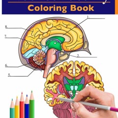 [PDF] Neuroanatomy Coloring Book: Incredibly Detailed Self-Test Human Brain