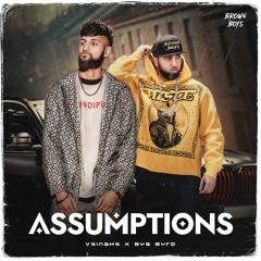 Assumptions - Vsinghs & Byg Byrd