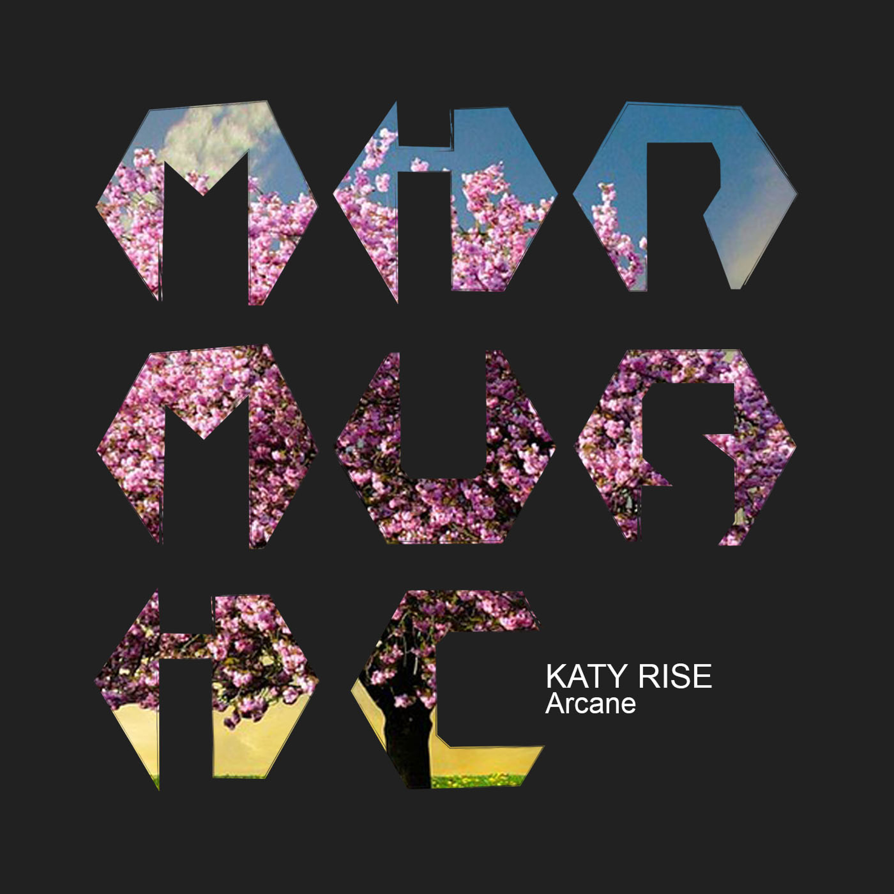 KATY RISE