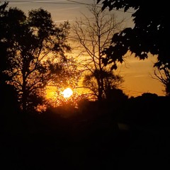 off the dome /jigsaw