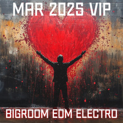 BigRoom EDM Electro🔥VOL.855(133New Pack)(Free Download)(Free Password)