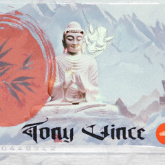 Hinode x Tony Vince 02 TechHouse