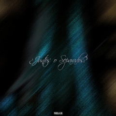 ¿Juntos o Separados?