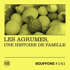 Bouffons #141 - Les agrumes, une histoire de famille