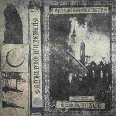 SPIRITUM OCCULTUS - RESILIENCE