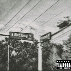 birdsong