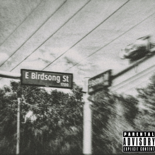 birdsong