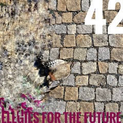 ELEGIES FOR THE PAST