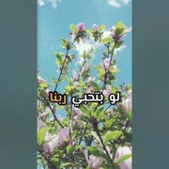جربي تلبسي الحجاب | د . حازم شومان
