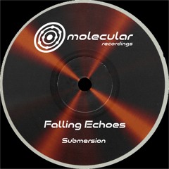 Premiere: Falling Echoes - Slope [Molecular Recordings]