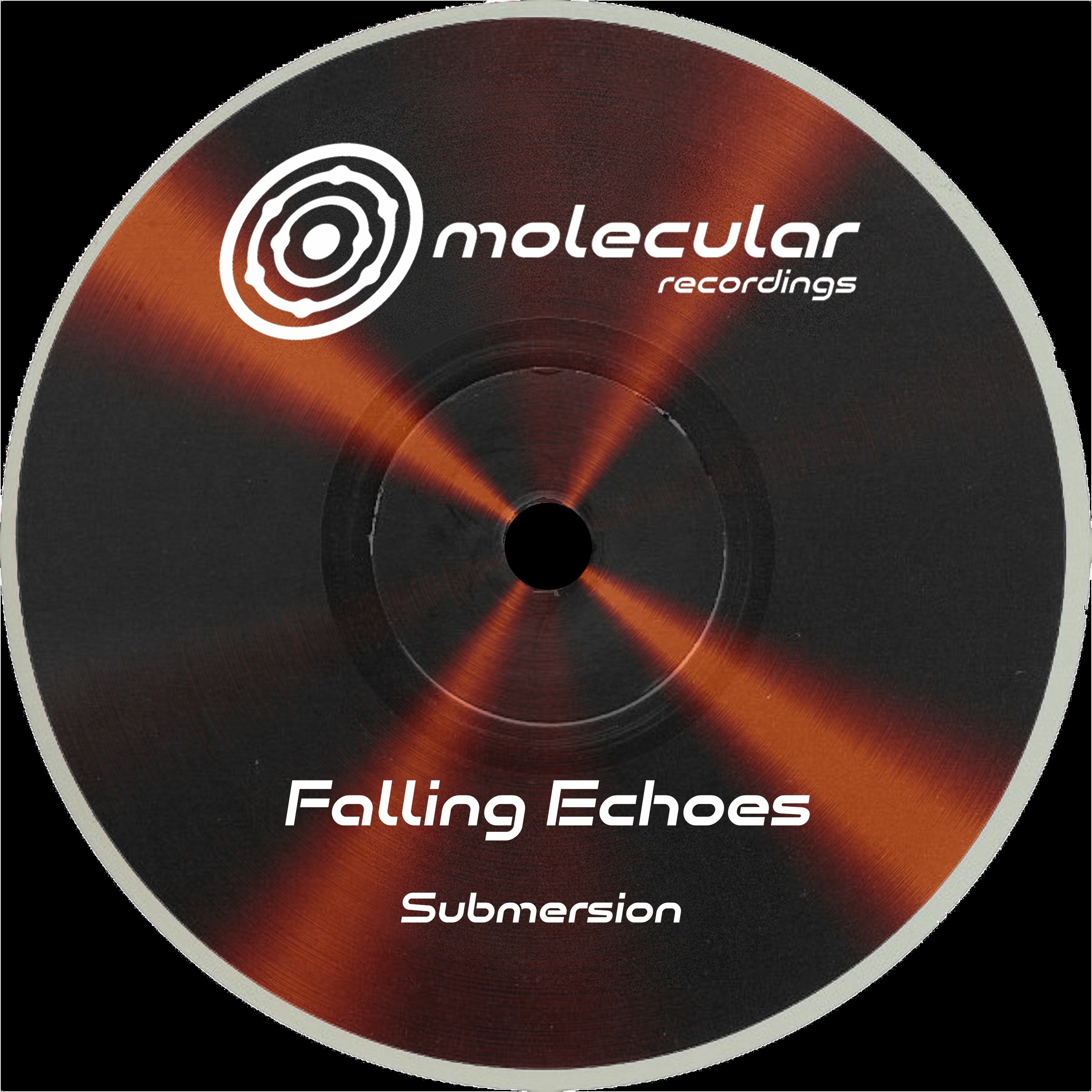 Premiere: Falling Echoes - Slope [Molecular Recordings] episode artwork