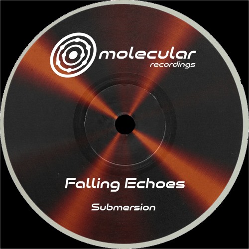 Premiere: Falling Echoes - Slope [Molecular Recordings]
