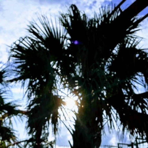 リアムMAZE1981 - Midnight