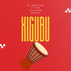DJ GANYANI F.T FB-Xigubu (ZILOMAN REMIX).mp3