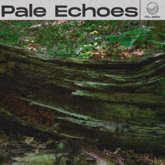nuwav - Peter Bark - Pale Echoes