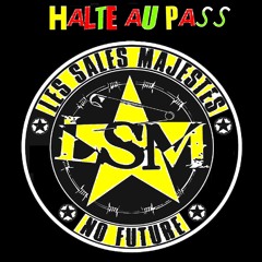 Halte au pass (Remix)