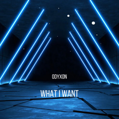 What I Want