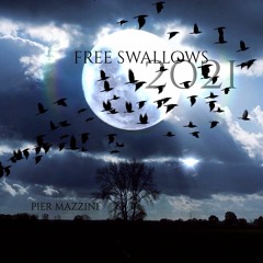 FREE SWALLOWS - PIANO & STRINGS MOTION -