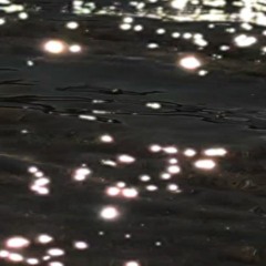 Record 0009 [2022 - 08 - 27 204113]