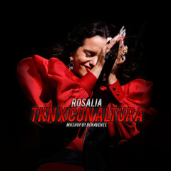 Rosalia - TKN x Con Altura (Benavente Mashup)