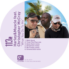 What You Do To Me (Trust The Plan mix) [feat. Christopher McCray]