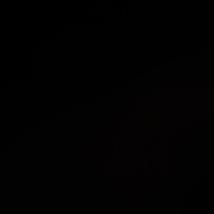 luhtony00- tweakin together