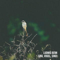 Sing, Vogel, Sing!