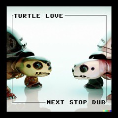 Robit Turtle Love