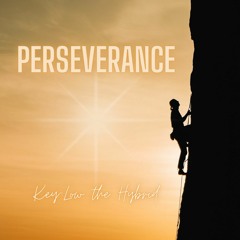 Perseverance | @keylow_the_hybrid