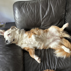 Georgina’s Relaxation Session