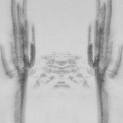 Cold Voices