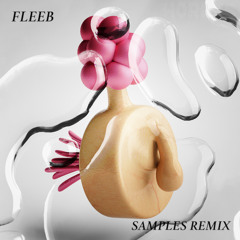 FLEEB (Samples Remix)