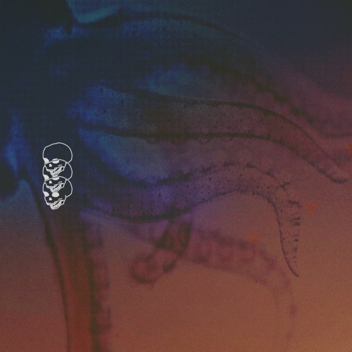 car keys w/ swazy*