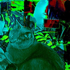 STAY WITH ME FT BLACKSENSEI (and titan the cat)