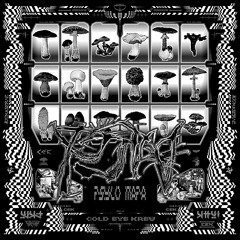 Psylo Mapa