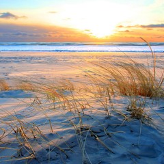 🥹Summertime sadness🥹