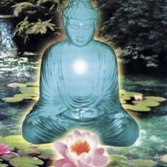 Is Everything 0k (prod.Winona)